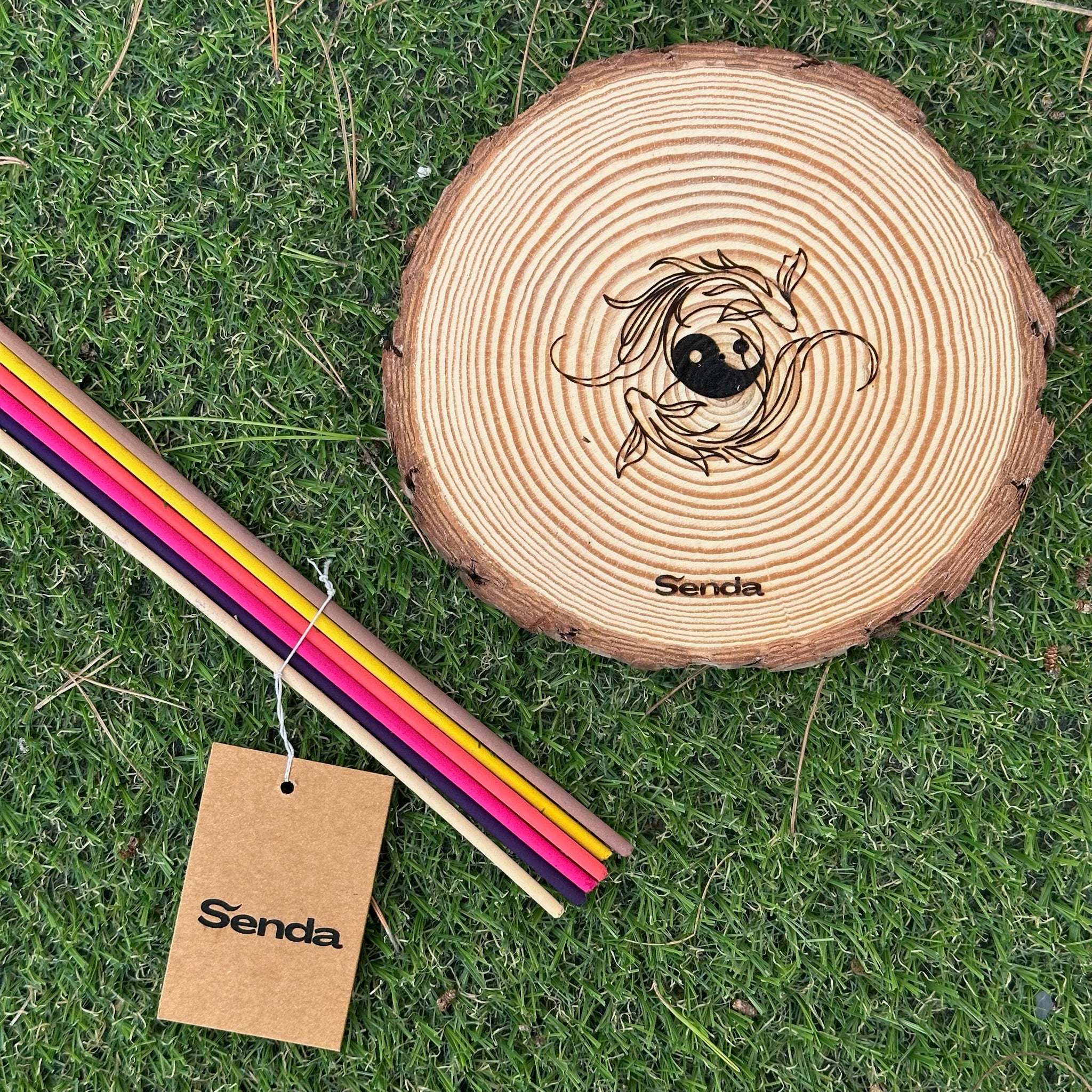 Pack esencial - Peces koi