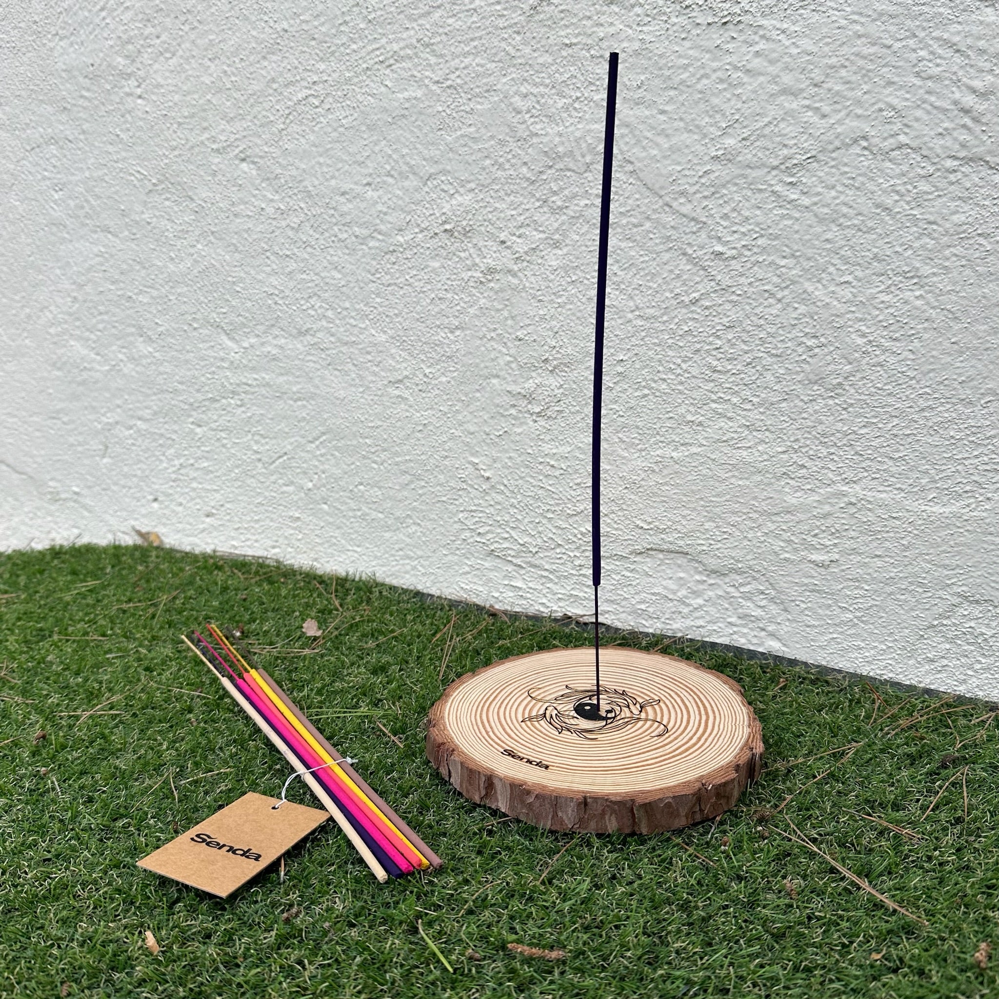 Pack esencial - Peces koi