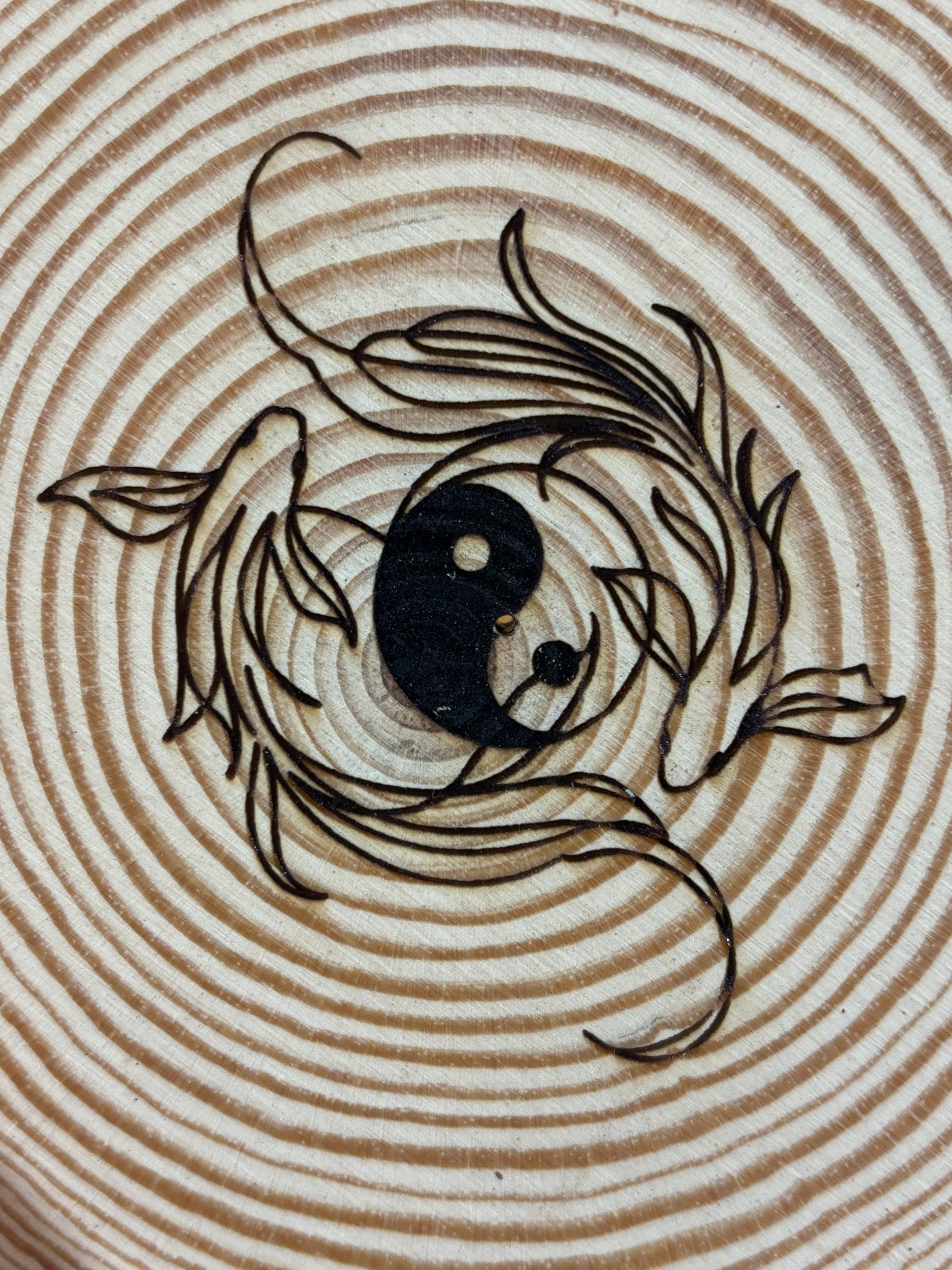 Pack esencial - Peces koi