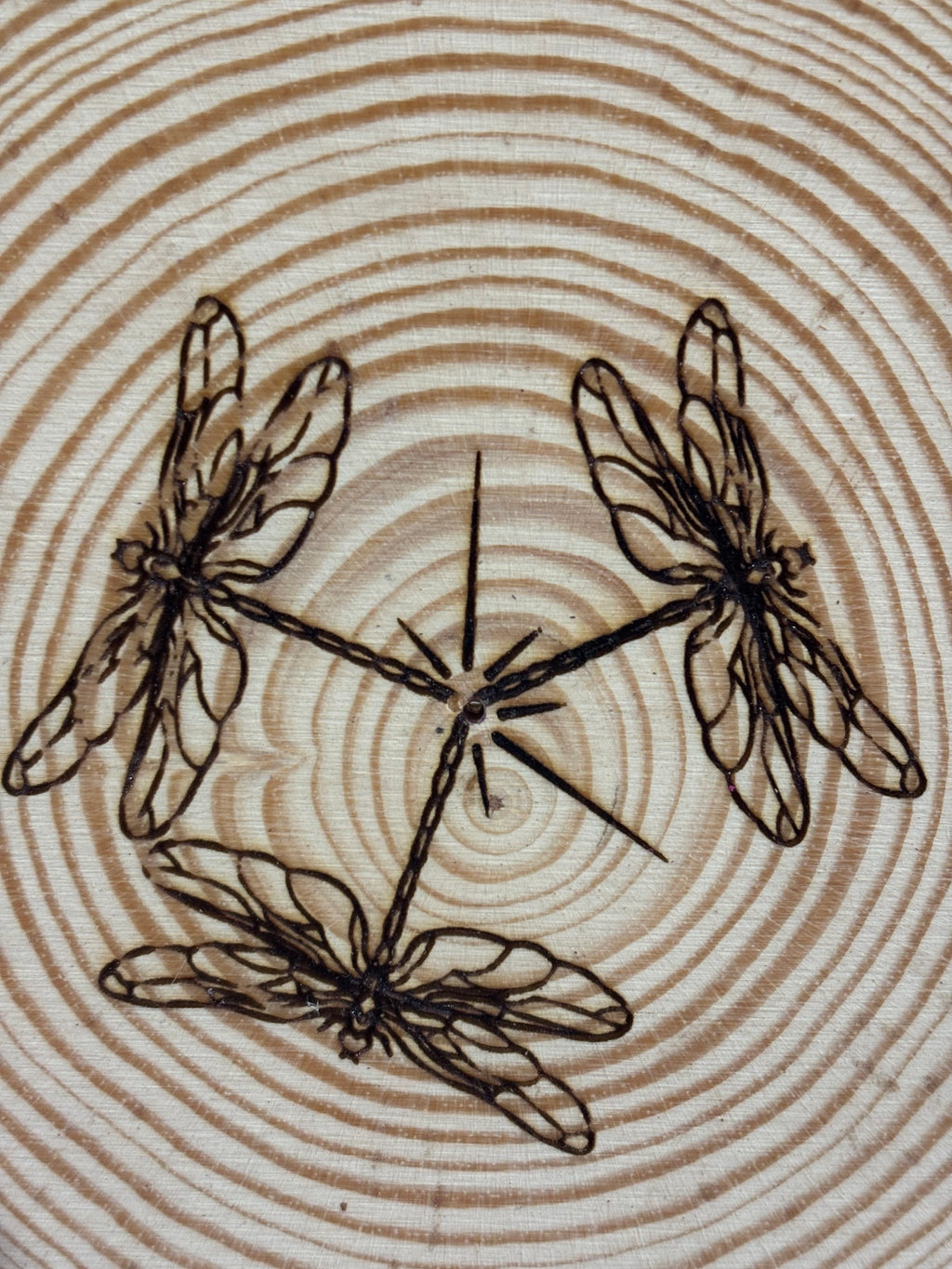 Pack esencial - Libélula