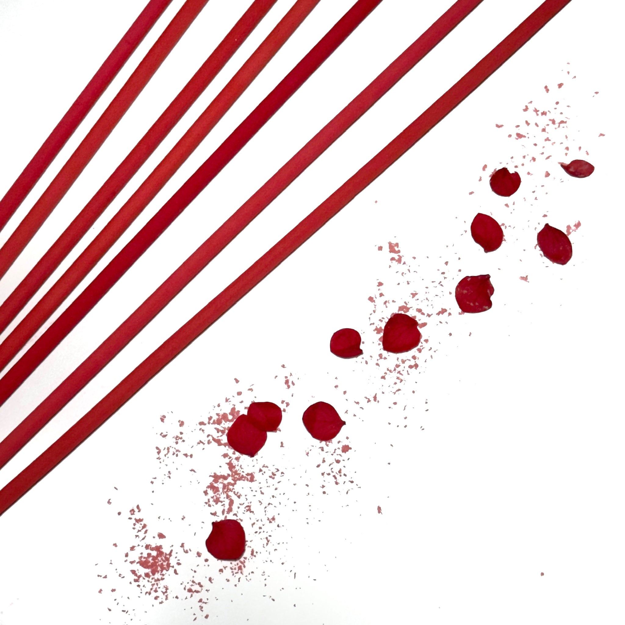 Sangre de dragón - 10 uds