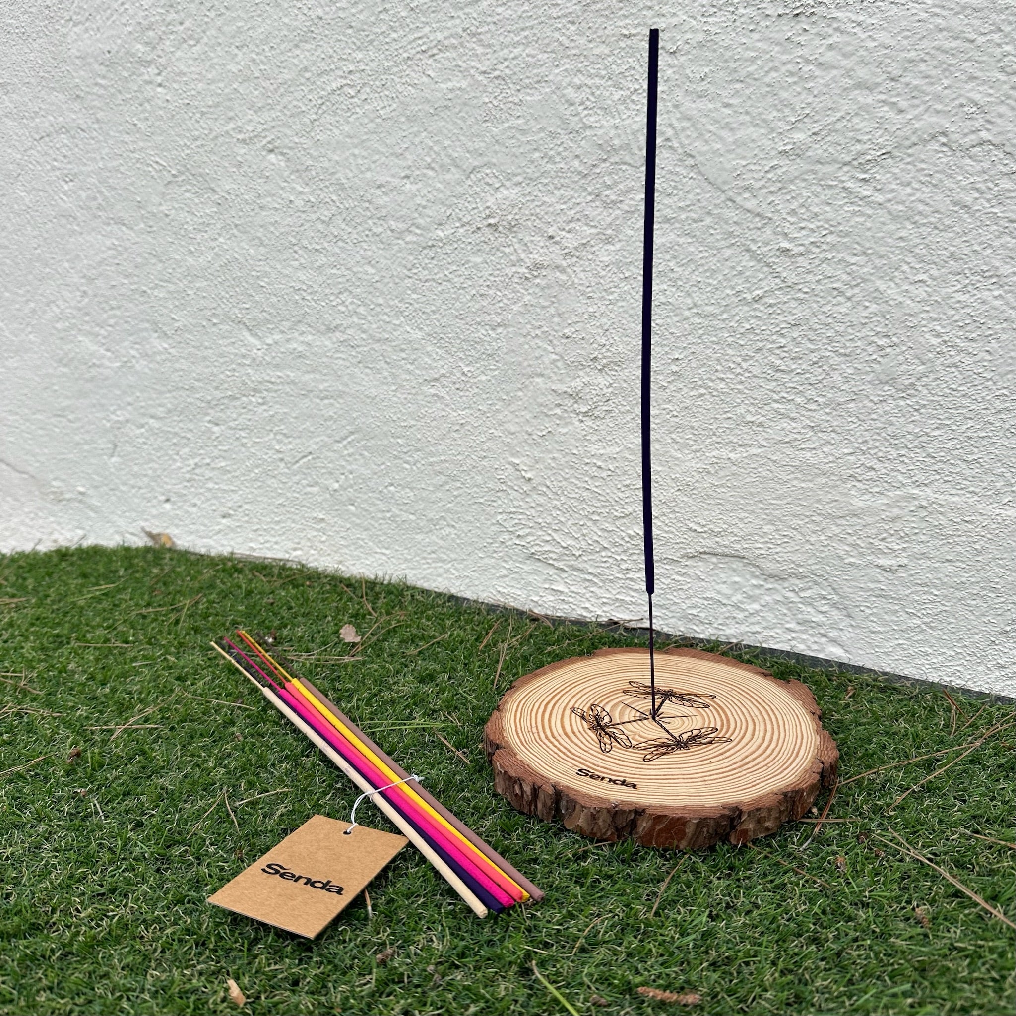 Pack esencial - Libélula