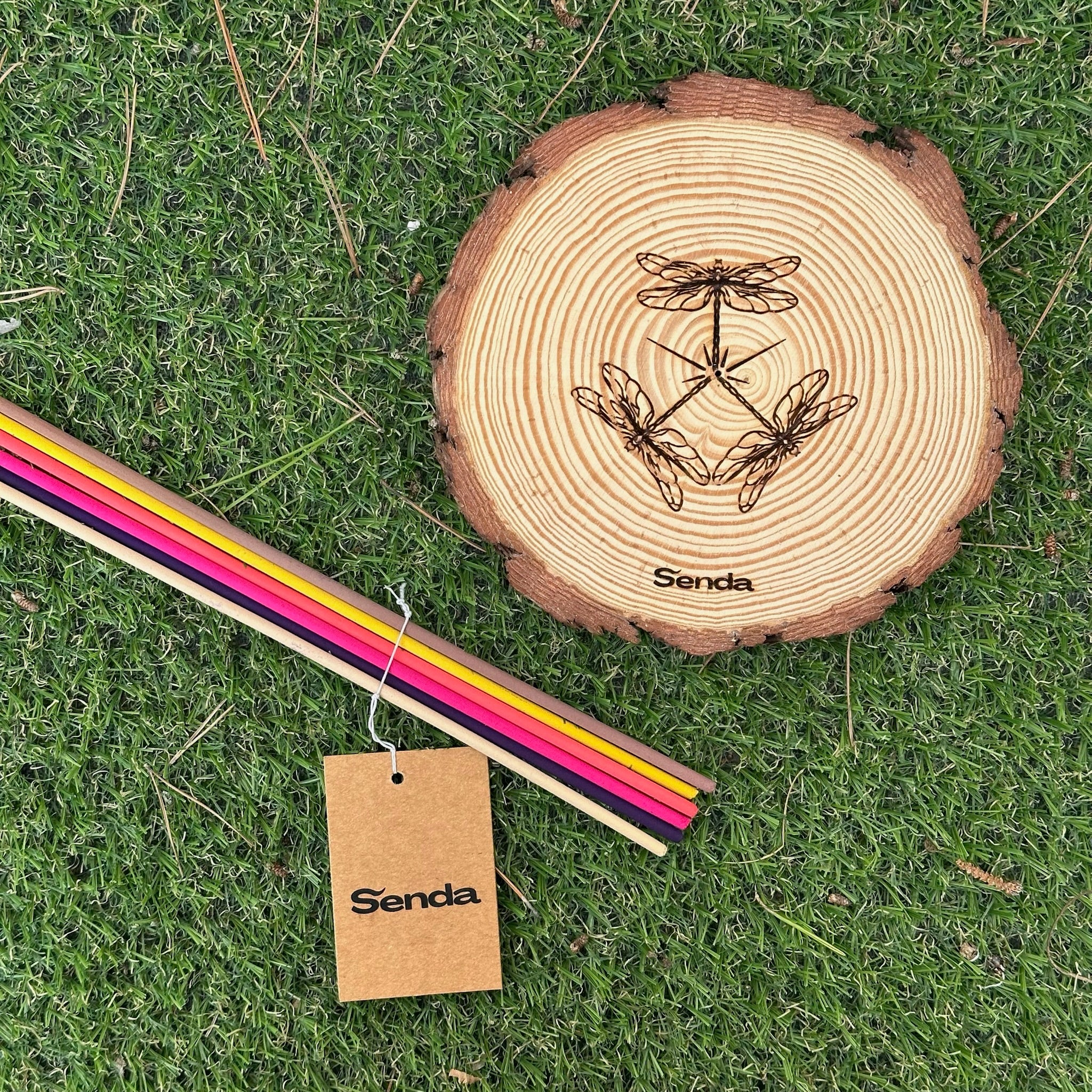 Pack esencial - Libélula