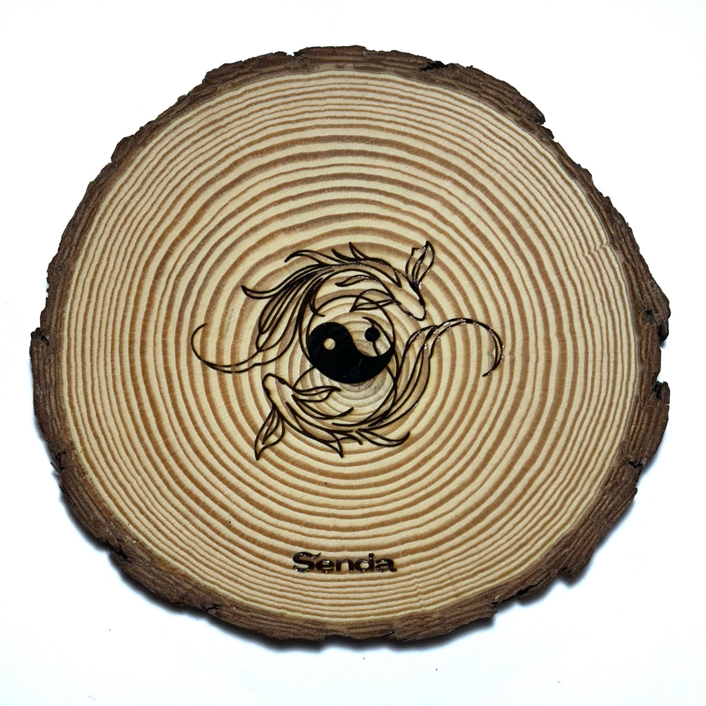 Pack esencial - Peces koi