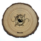 Pack esencial - Peces koi