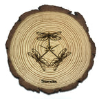 Pack esencial - Libélula