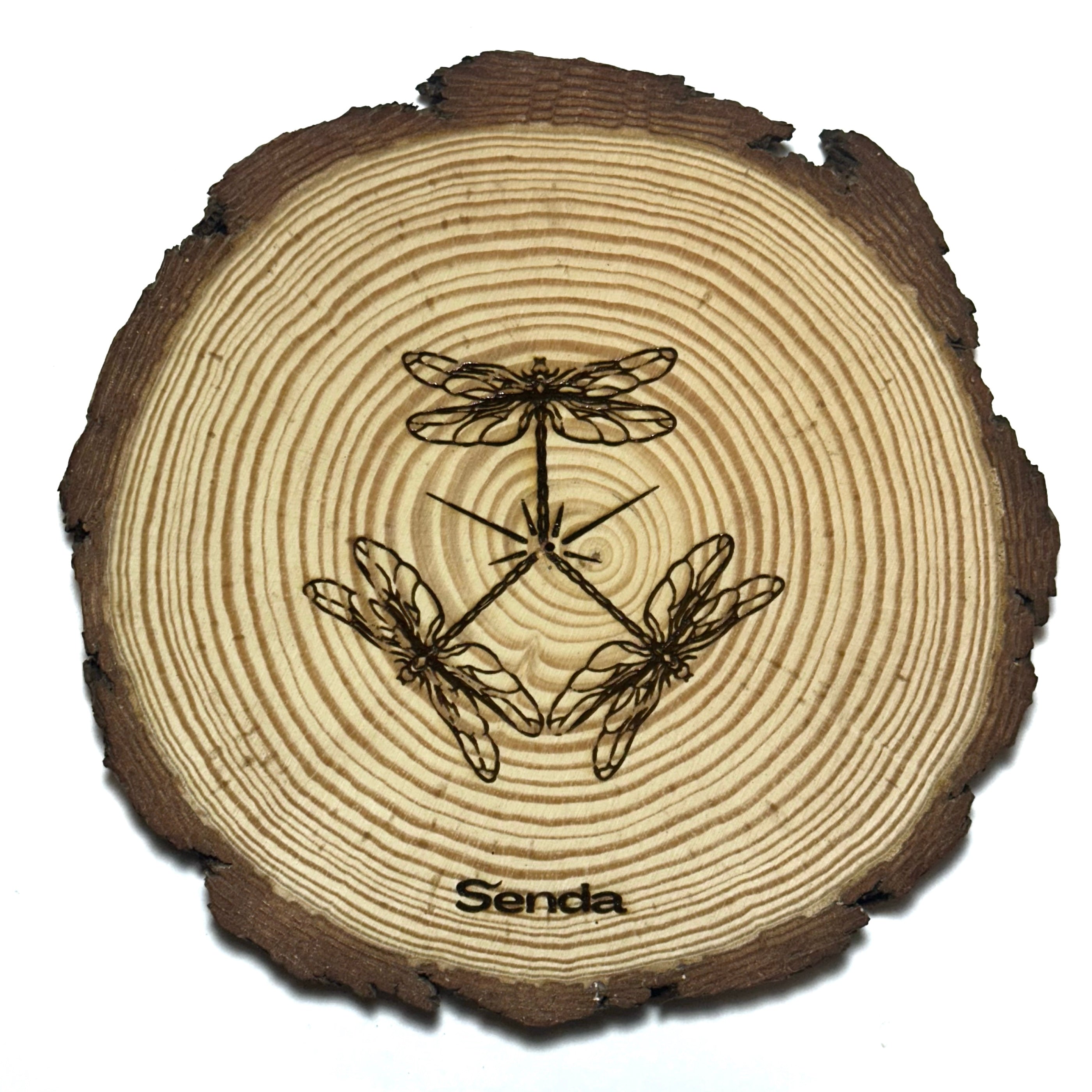 Pack esencial - Libélula